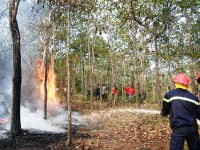 Nam Giang, Quảng Nam: Chủ động phòng chống cháy rừng