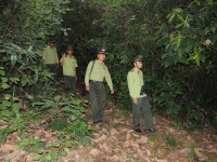 Lực lượng bảo vệ rừng ở Quảng Nam ngày đêm túc trực