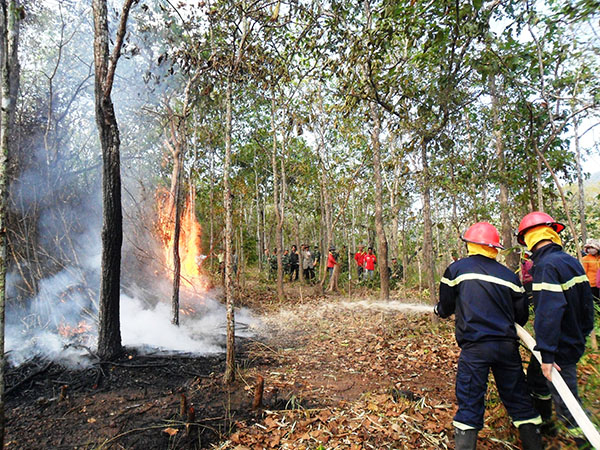 Nam Giang, Quảng Nam: Chủ động phòng chống cháy rừng