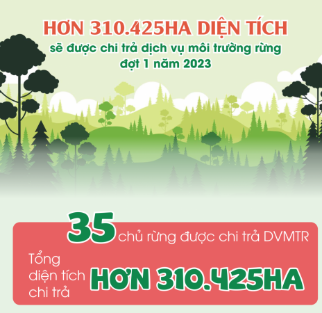 Hơn 310.425ha diện tích sẽ được chi trả dịch vụ môi trường rừng đợt 1 năm 2023