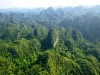 phóng sự Quảng Nam nổ lực giữ rừng